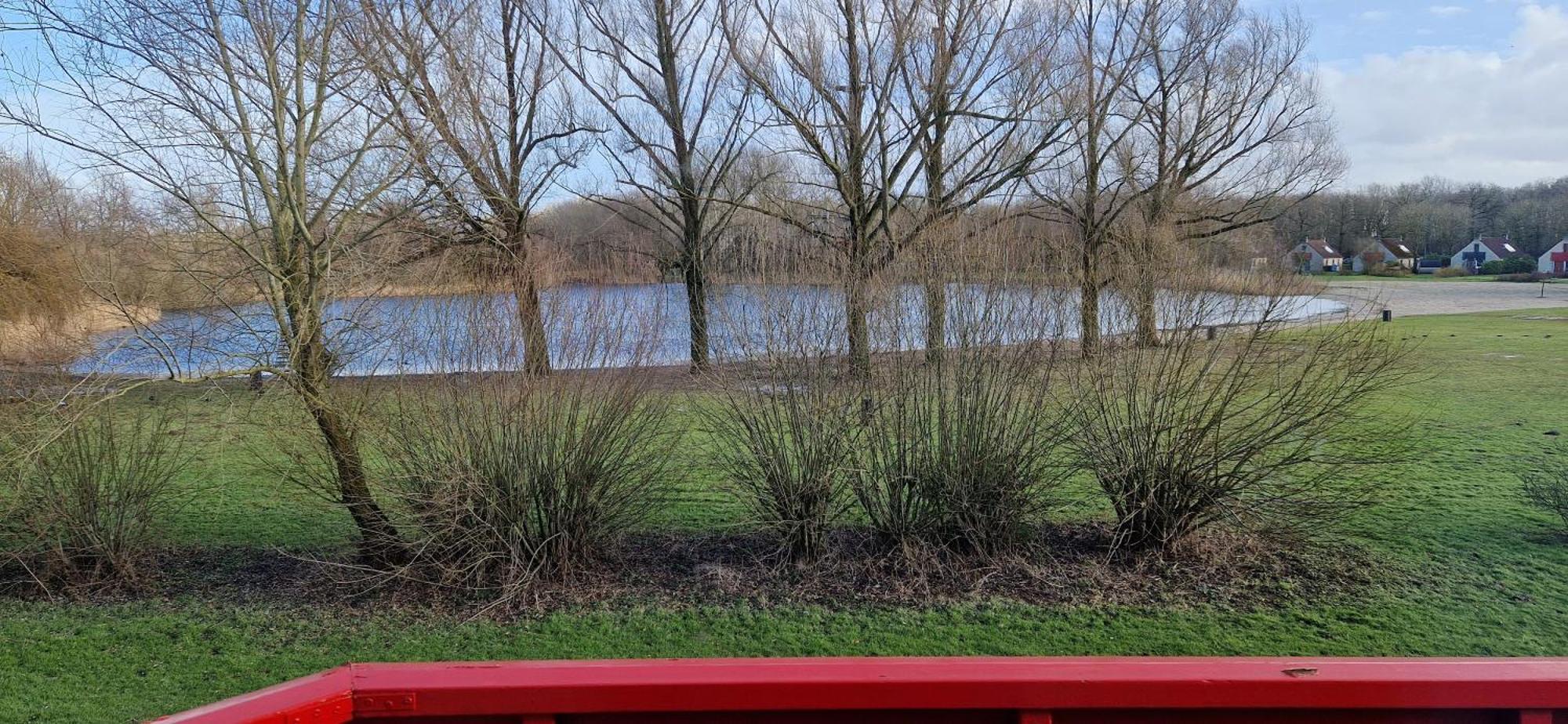 Lakeview 'Rotorua' 4-6 Pers By Kawatea Cottages Ewijk エクステリア 写真